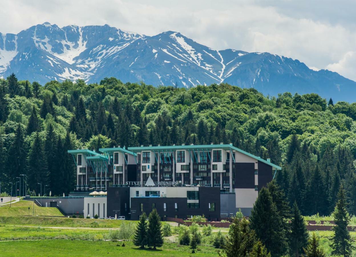Timber View Apartment Silver Mountain Пояна-Брашов Экстерьер фото