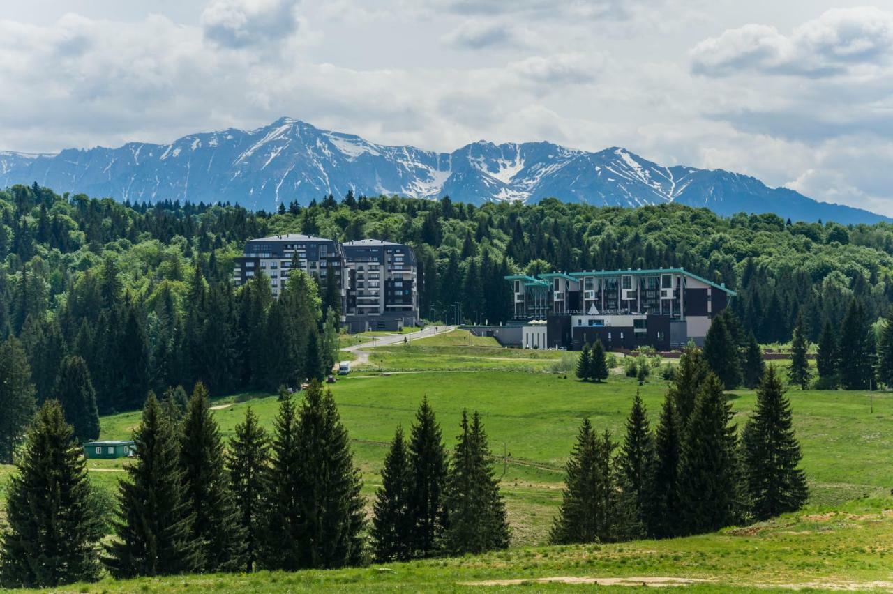 Timber View Apartment Silver Mountain Пояна-Брашов Экстерьер фото