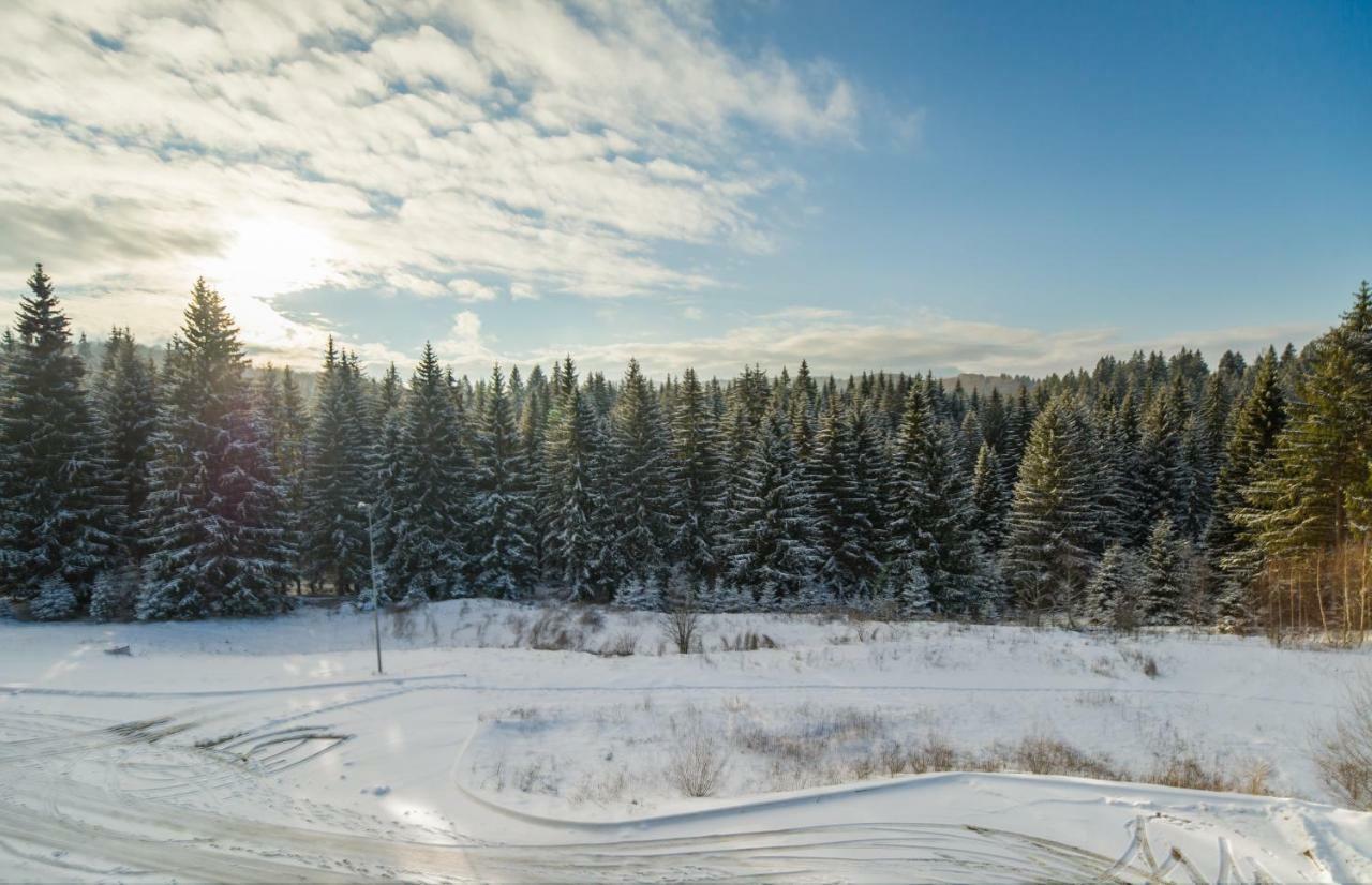 Timber View Apartment Silver Mountain Пояна-Брашов Экстерьер фото